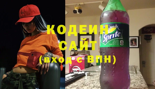 мдпв Верхний Тагил