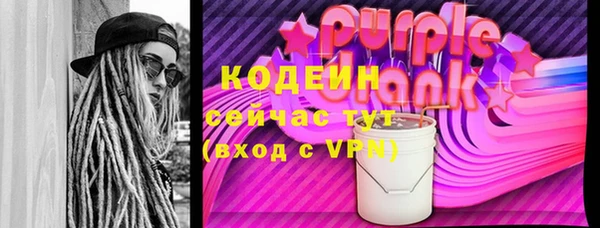 мдпв Верхний Тагил