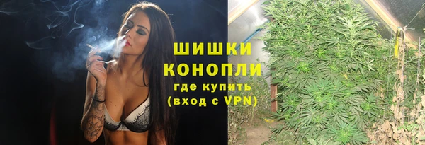 мдпв Верхний Тагил